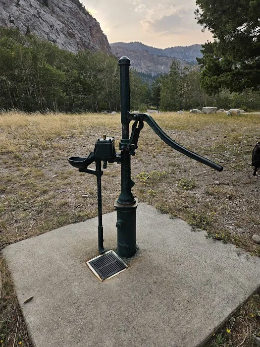 Home Gulch Campground Picture 4