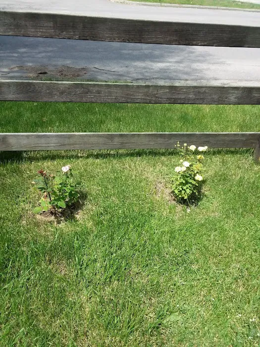 Country Estates Picture 10