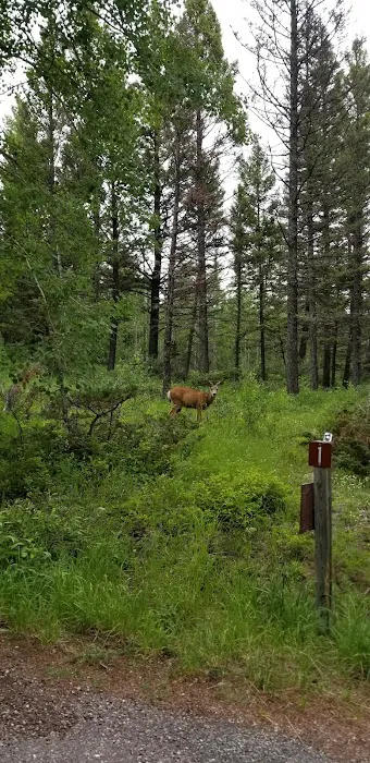 Gibson Boating Site (recgovnpsdata) Picture 5