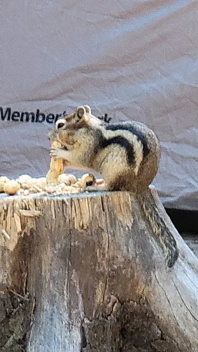 Copper Creek Campground Picture 2