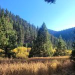 Aspen Grove Campground