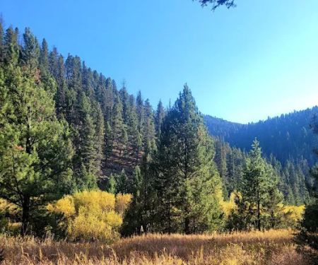 Aspen Grove Campground