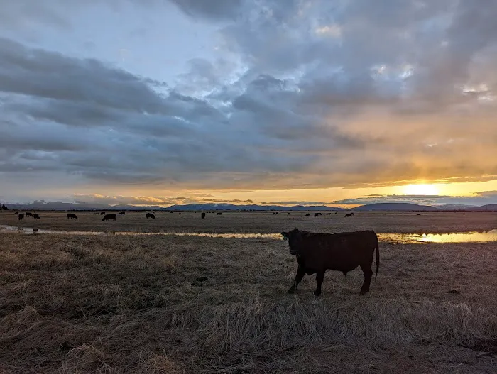 American Legion Memorial Park Picture 9