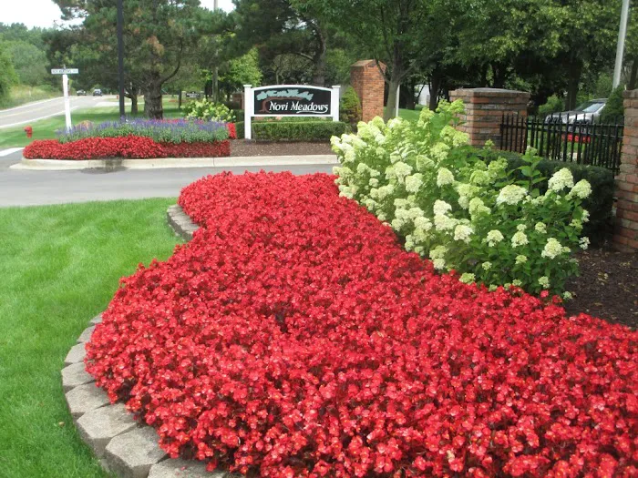 Novi Meadows Picture 3