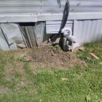 Old Orchard Mobile Home Park