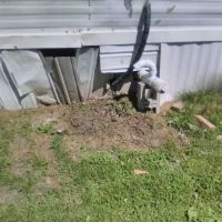 Old Orchard Mobile Home Park ico