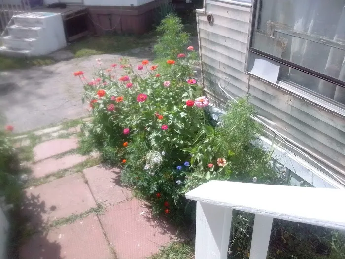 Old Orchard Mobile Home Park Picture 10