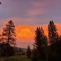 Dickie Bridge Campground ico