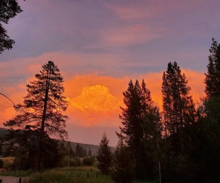 Dickie Bridge Campground