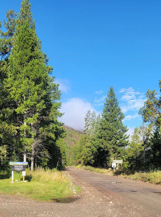 Dickie Bridge Campground Picture 6