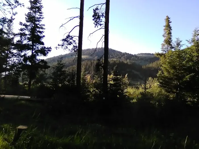 Dickie Bridge Campground Picture 10