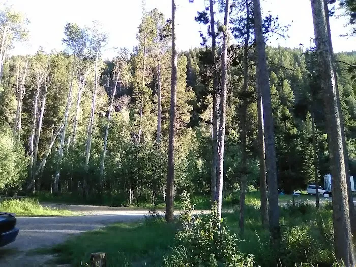 Dickie Bridge Campground Picture 9