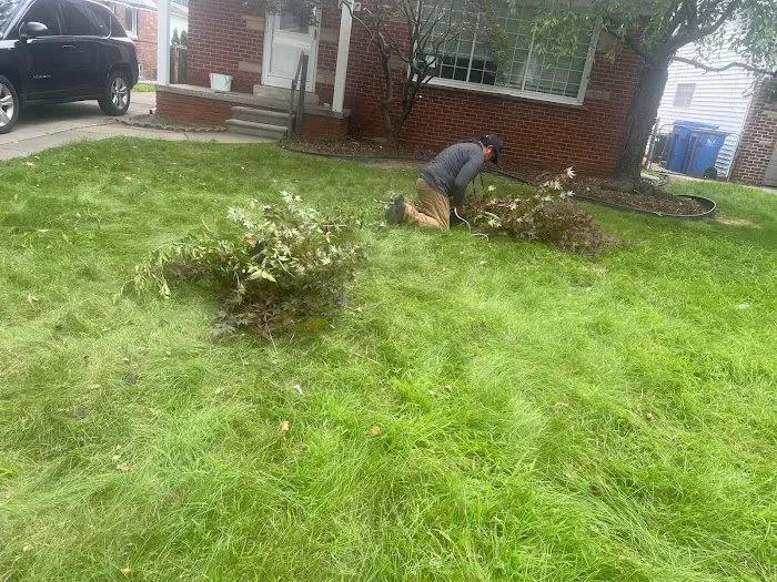 Westland Meadows Picture 7