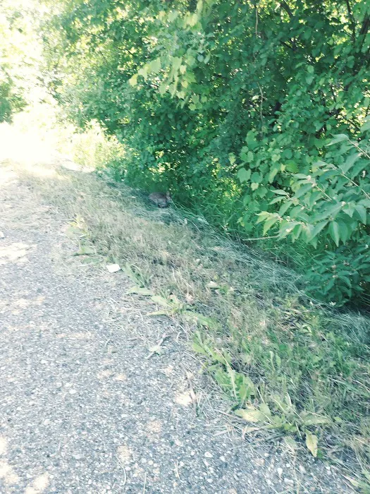 Riverview Trailer Park Picture 3