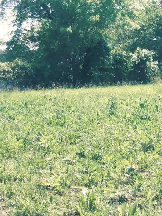 Riverview Trailer Park Picture 5