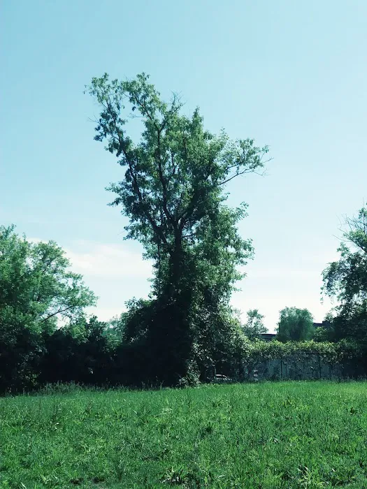 Riverview Trailer Park Picture 10