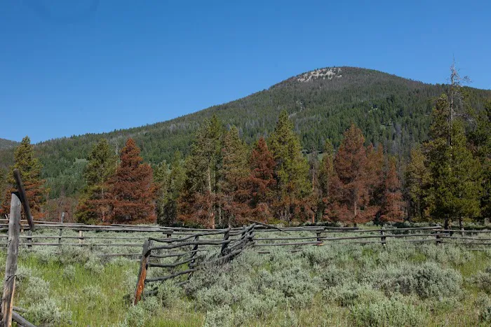 Pettengill Campground Picture 2