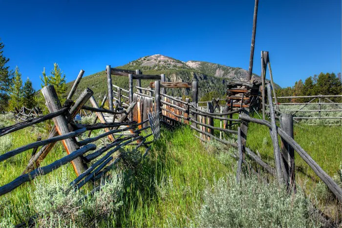 Pettengill Campground Picture 3