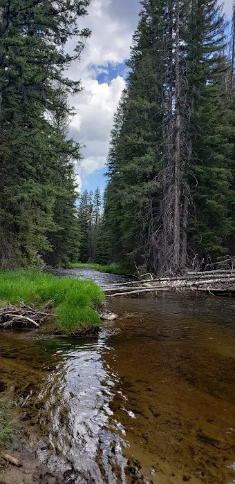 Fourth of July Campground Picture 5