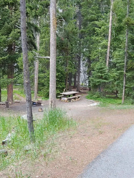 Lodgepole Campground Picture 5