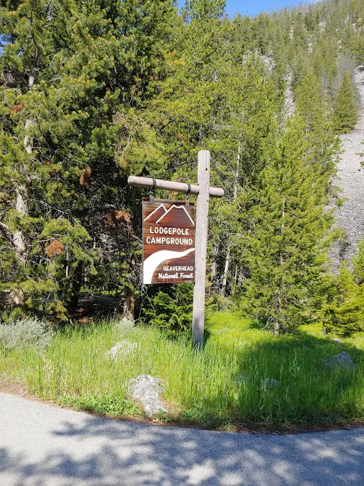 Lodgepole Campground Picture 6