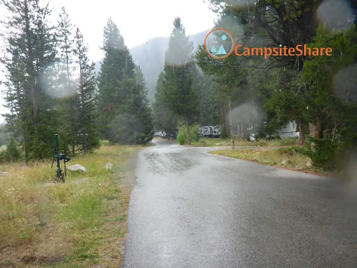 Lodgepole Campground Picture 1