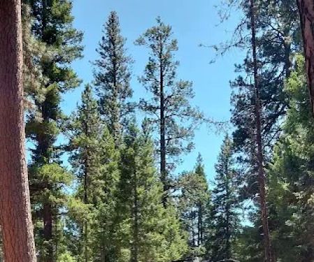 Sam Billings Memorial Campground