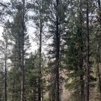 Rombo Campground ico