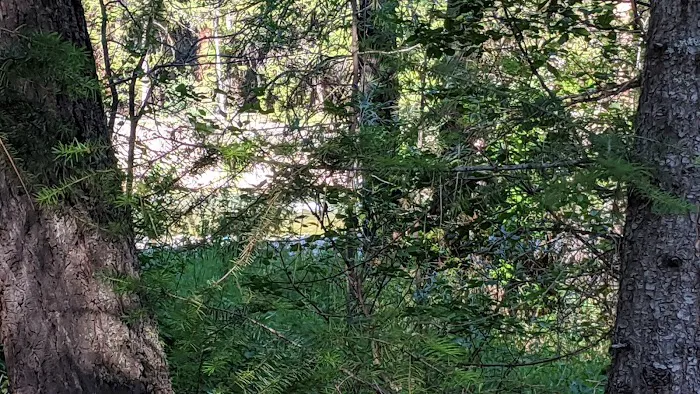 Rombo Campground Picture 2