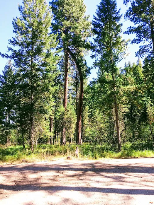 Rombo Campground Picture 9