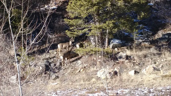 Rombo Campground Picture 7