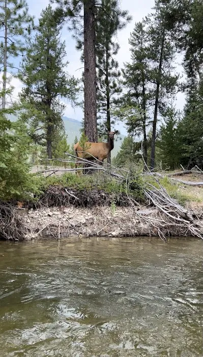 Rombo Campground Picture 8