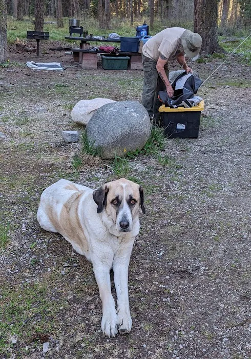 Twin Creek Campground & Group Picnic Picture 9