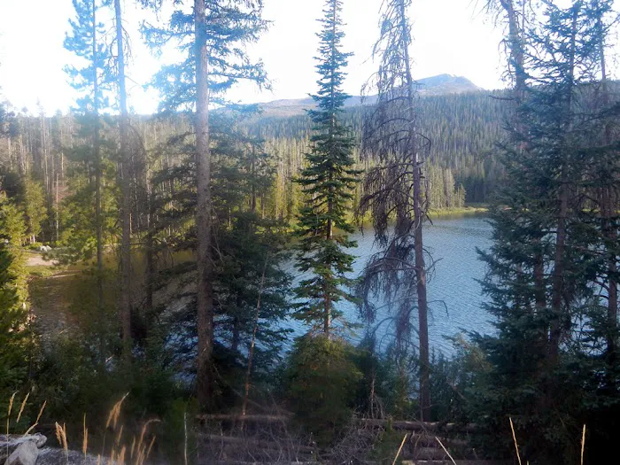 Twin Lakes Campground Picture 10