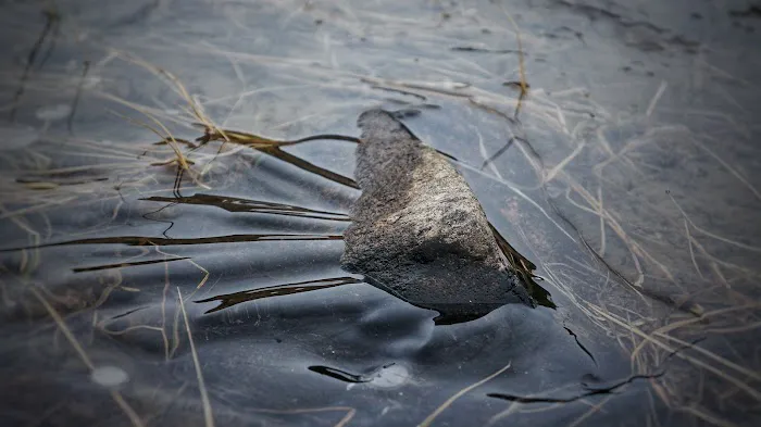 Twin Lakes Campground Picture 7