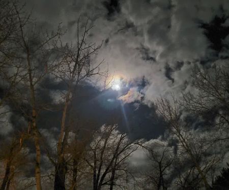 North Fork Motel & Campground