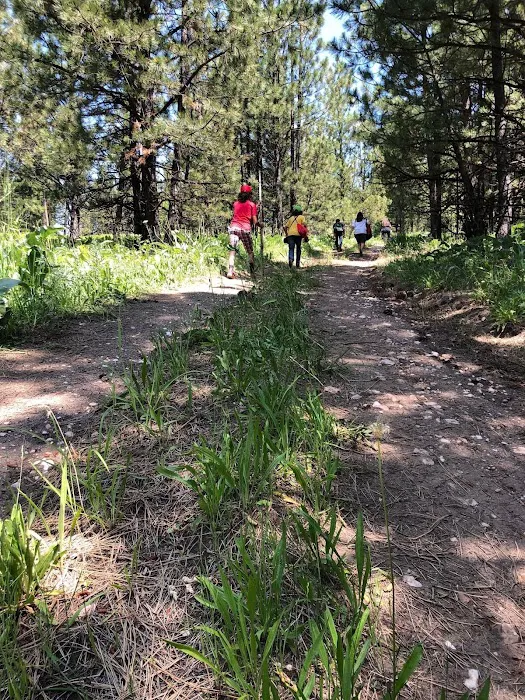 Talmaks Campground Picture 4