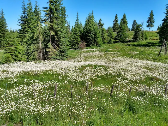 Soldier's Meadow Reservoir Picture 2