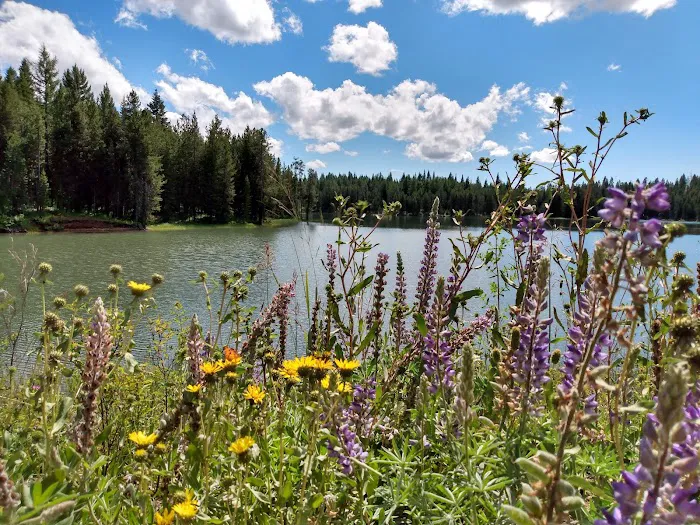 Soldier's Meadow Reservoir Picture 7