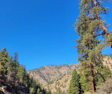 Spring Creek Campground