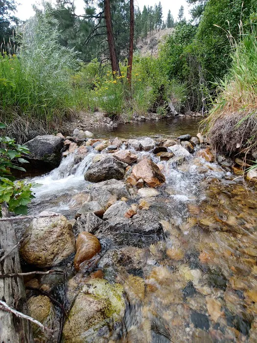 Spring Creek Campground Picture 3