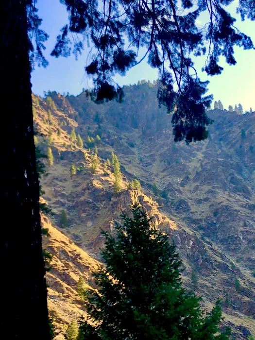 Long Tom Campground Picture 3