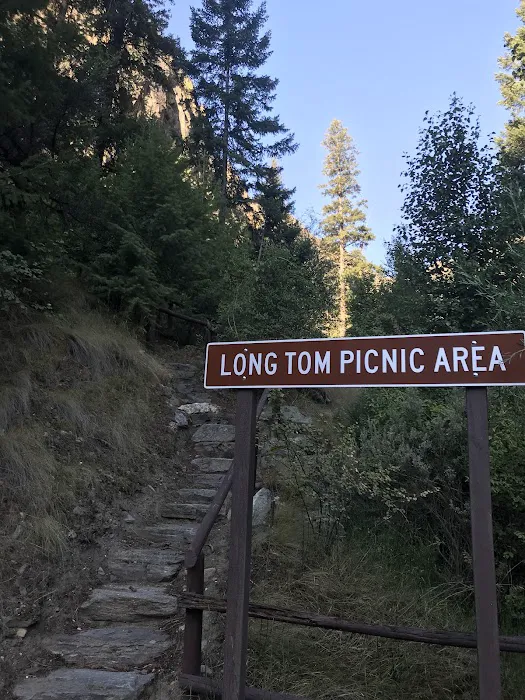 Long Tom Campground Picture 2