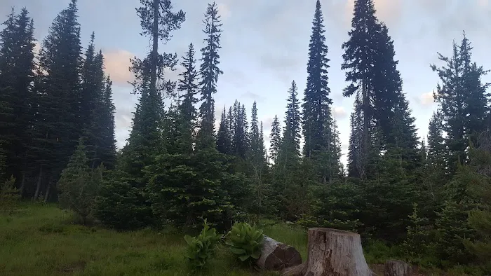 Grouse Campground Picture 9
