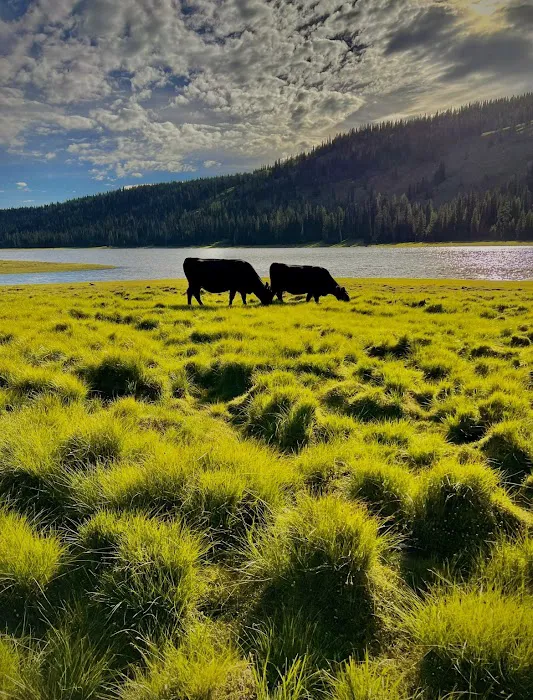 Grouse Campground Picture 4
