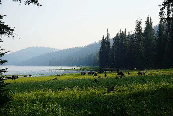 Grouse Campground Picture 3