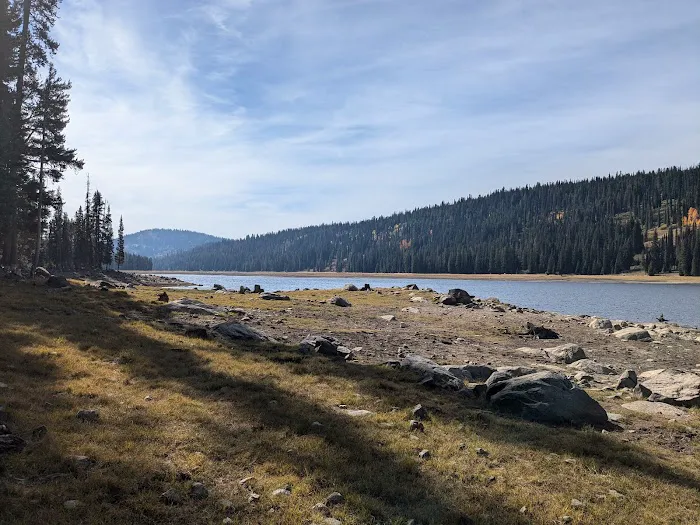 Grouse Group Picnic Site (recgovnpsdata) Picture 8