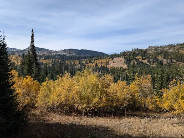 Grouse Group Picnic Site (recgovnpsdata) Picture 1