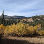 Grouse Group Picnic Site (recgovnpsdata)