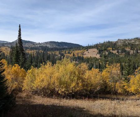 Grouse Group Picnic Site (recgovnpsdata)